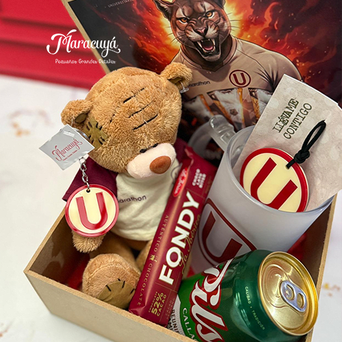 PACK OSITO UNIVERSITARIO2