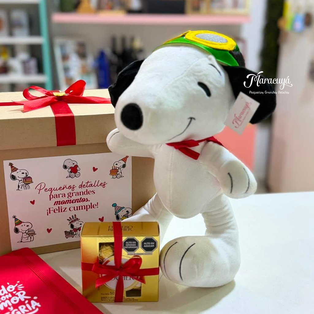 PACK CUMPLEAÑERO SNOOPY2