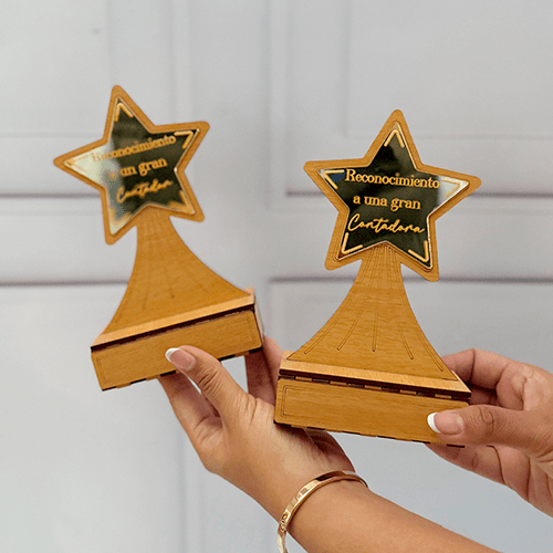 TROFEO DIA DEL CONTADOR1