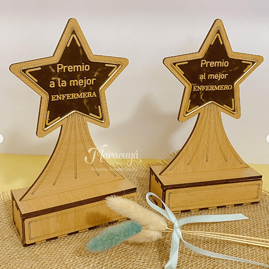 TROFEO ENFERMERA1