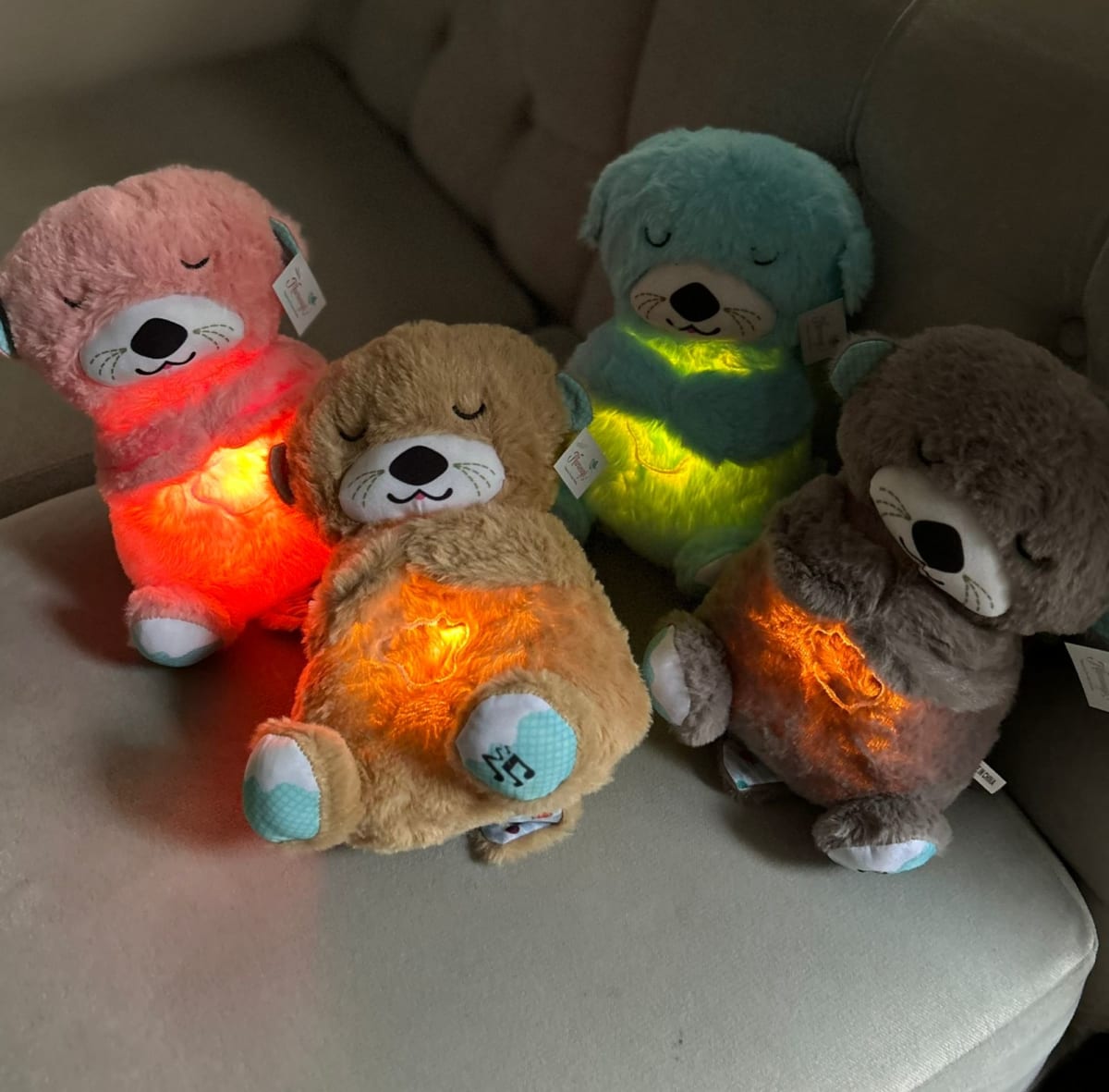 NUTRIA QUE RESPIRA4
