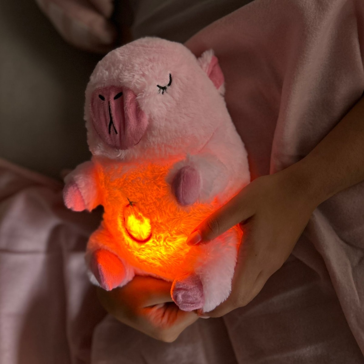 CAPIBARA QUE RESPIRA3