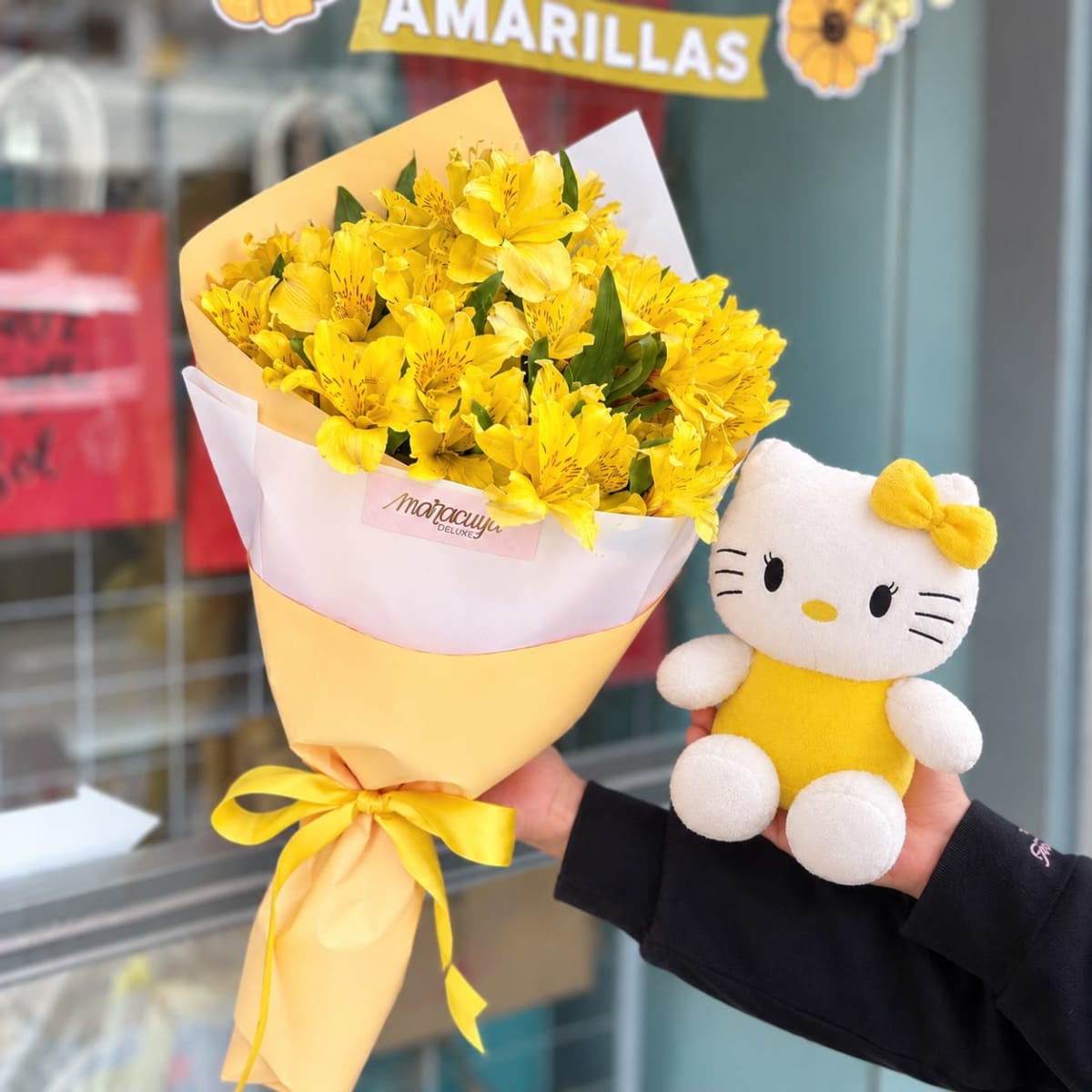 RAMO ASTROMELIAS & HELLO KITTY1