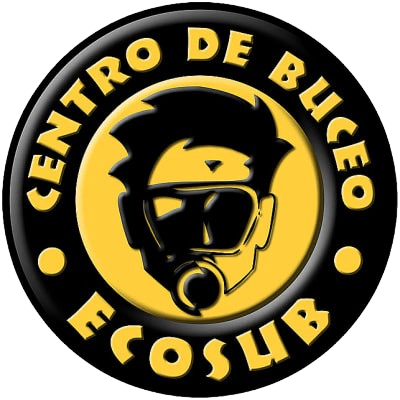 ecosub.cl