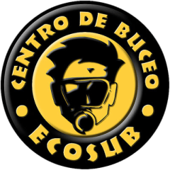 ecosub.cl