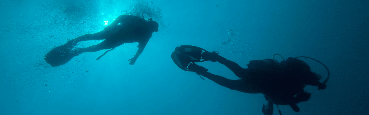 dise osint tulo 385164