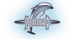 SOMMAP