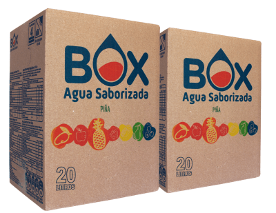 Pack de 2 cajas de 20 litros de Agua Saborizada