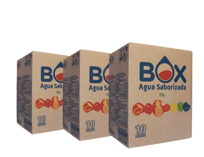 Pack de 3 cajas de 10 litros de Agua Saborizada