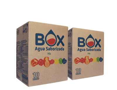 Pack de 2 cajas de 10 litros de Agua Saborizada