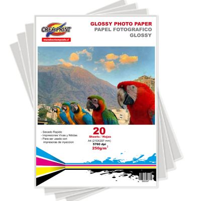 PAPEL CREAPRINT 250 GRS GLOSSY A4 X 20 UNIDADES