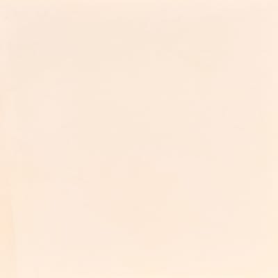 SH6000 PORCELANATO BRILLANT SNOW 60X60 1,44 M2