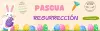 collection pascua resurreccion