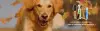 slide1 4x4733.webp