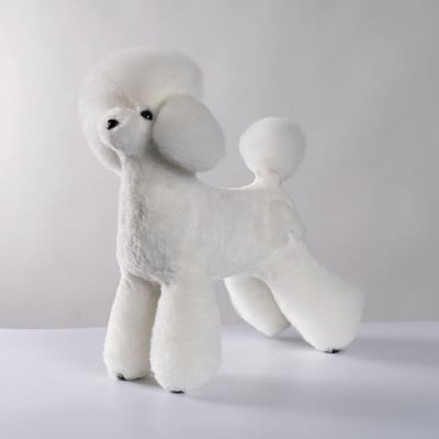 Model Dog Postizo Graffiti Caniche Asian Style