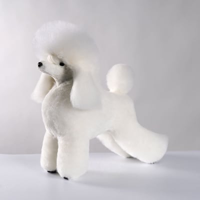 Model Dog Postizo Graffiti Caniche Continental Clip1