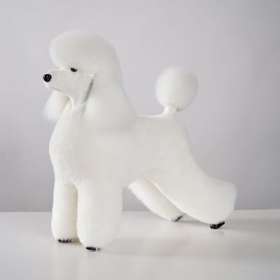 Model Dog Postizo Graffiti Caniche Sin Top Knot1