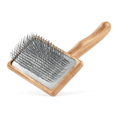 Beast - Carda Especial Nudos2