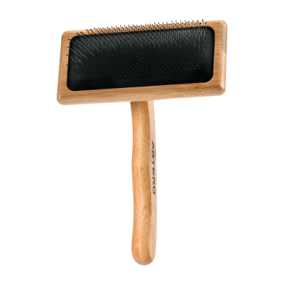 Romeo-Carda Protegida M