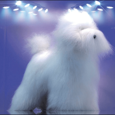 VIRTUAL DOG CANICHE - POSTIZO COMPLETO
