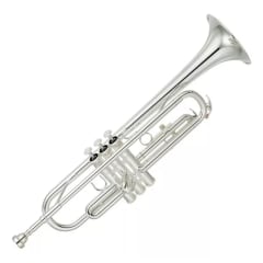 Trompeta Plateada, Con Acsesorios Y Estuche