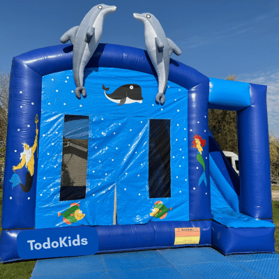 Arriendo de Juego Inflable Marino