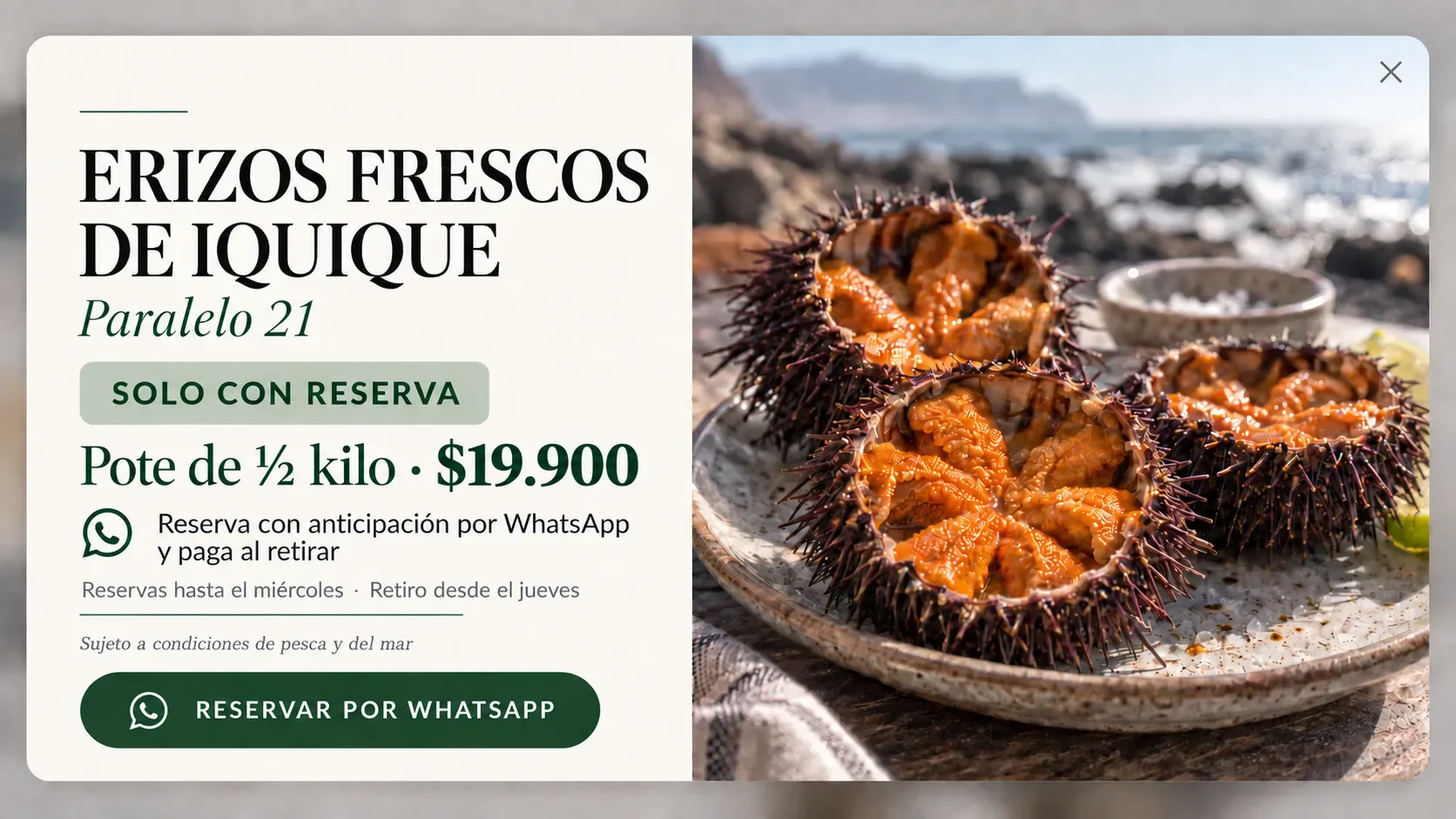 Erizos frescos de Iquique, Paralelo 21. Solo con reserva. Pote de medio kilo por $19.900. Reserva por WhatsApp y paga al retirar. Reservas hasta el miércoles y retiro desde el jueves. Sujeto a condiciones de pesca y del mar.