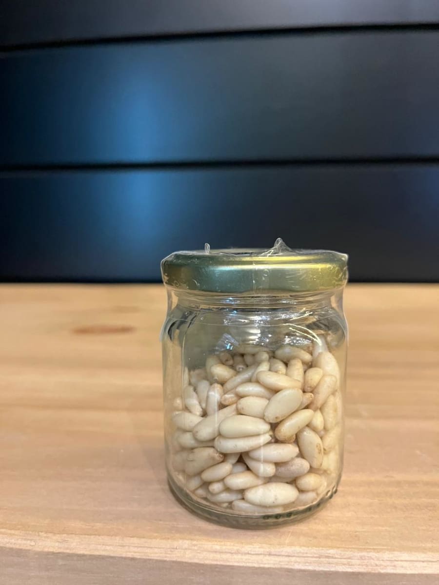 Pinoli Italiano ( Piñon mediterraneo para hacer el verdadero Pesto ...