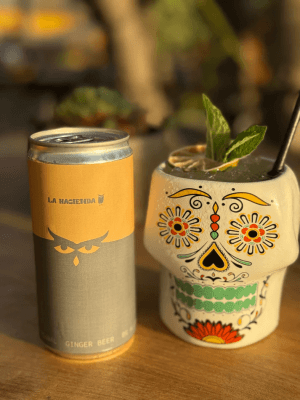 Ginger Beer 260 ml, La Hacienda