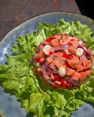 Ceviche de Salmon con leche de tigre 250 grs, Norte a Sur al Vacio