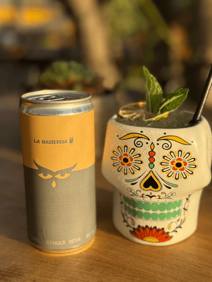 Ginger Beer 260 ml, La Hacienda1