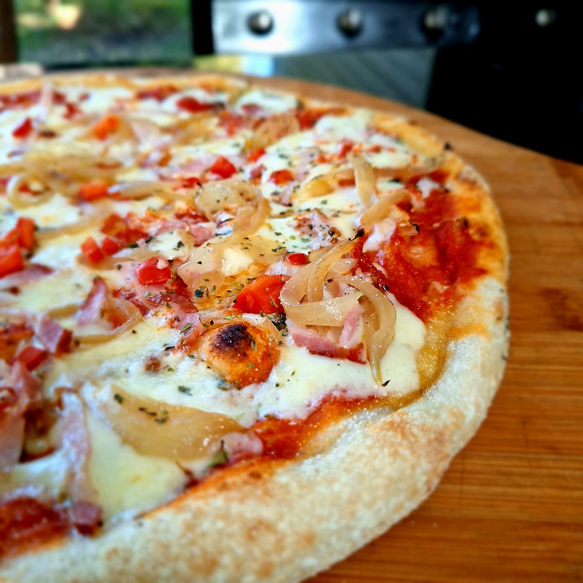 Pizza Masa Madre Parrillera1