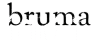 Bruma