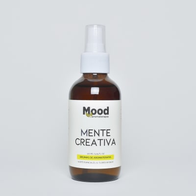 Bruma Mente Creativa1