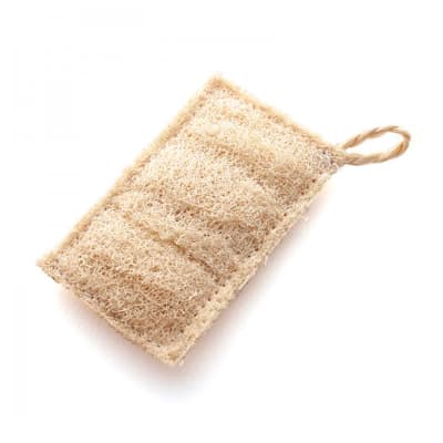 Luffa cuadrada