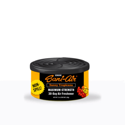 Latita auto Sani air Sunny tropicana1