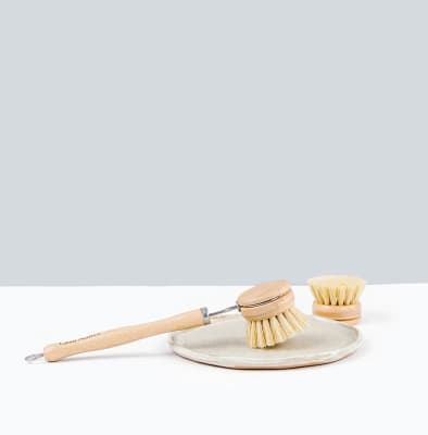 Cepillo Lavapalatos + Repuesto1