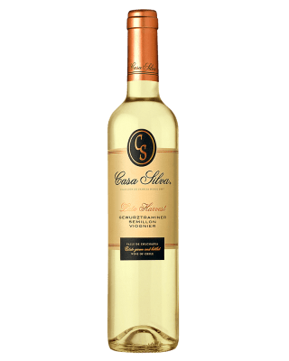 CASA SILVA GSW1