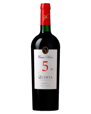 CASA SILVA QUINTA GENERACION