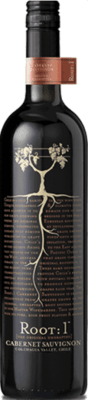 VENTISQUERO ROOT4