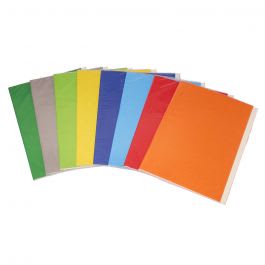 Carpeta S/acoclip