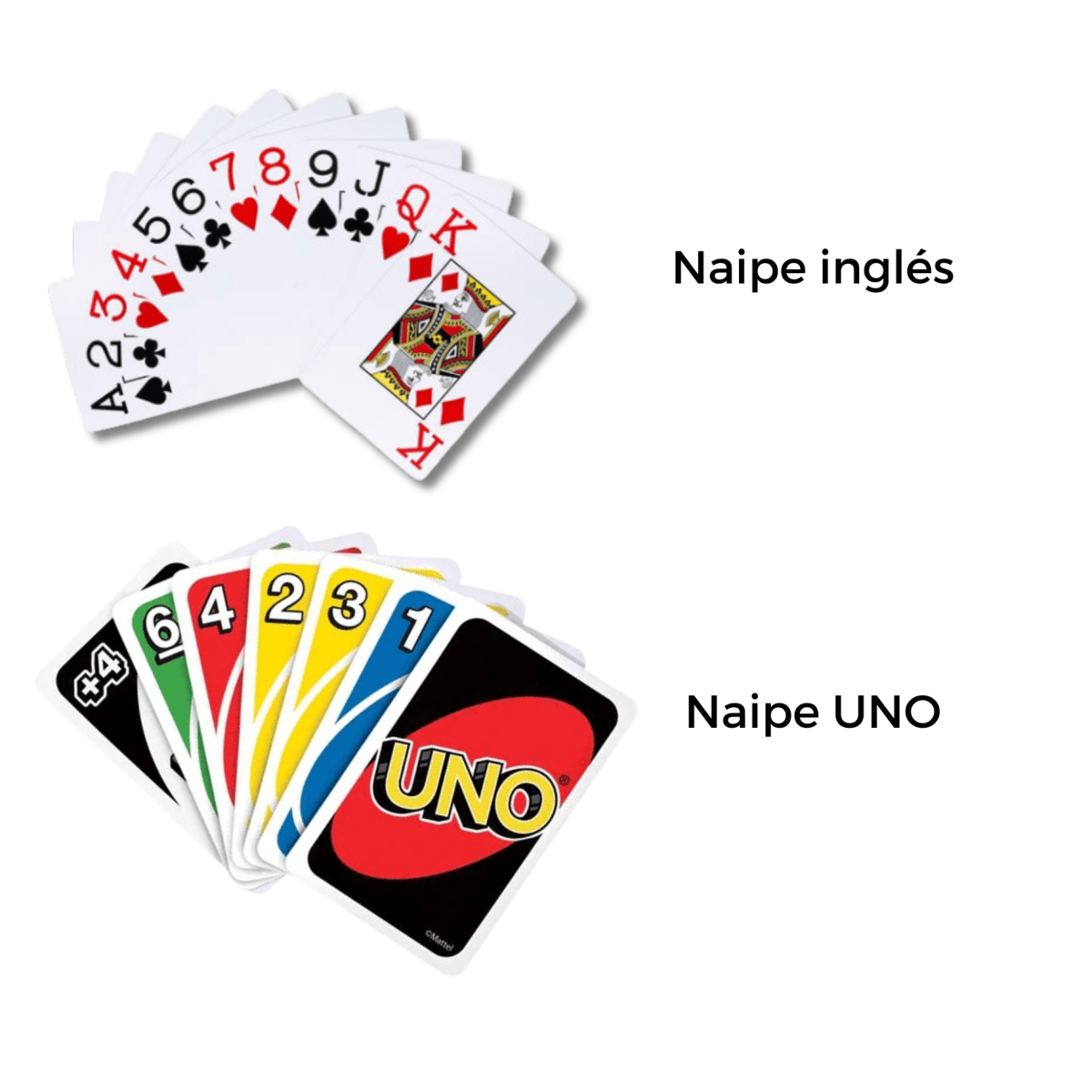 Kit Vacaciones Premium8