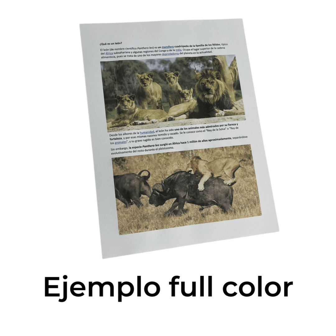 Impresión Full color en Papel normal Carta y Oficio2