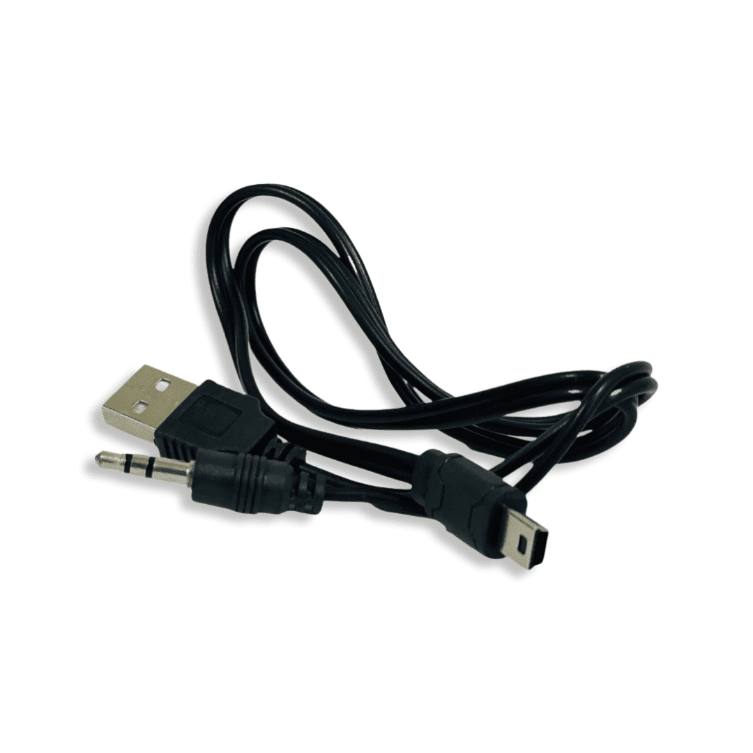 Cable Carga Parlante V31