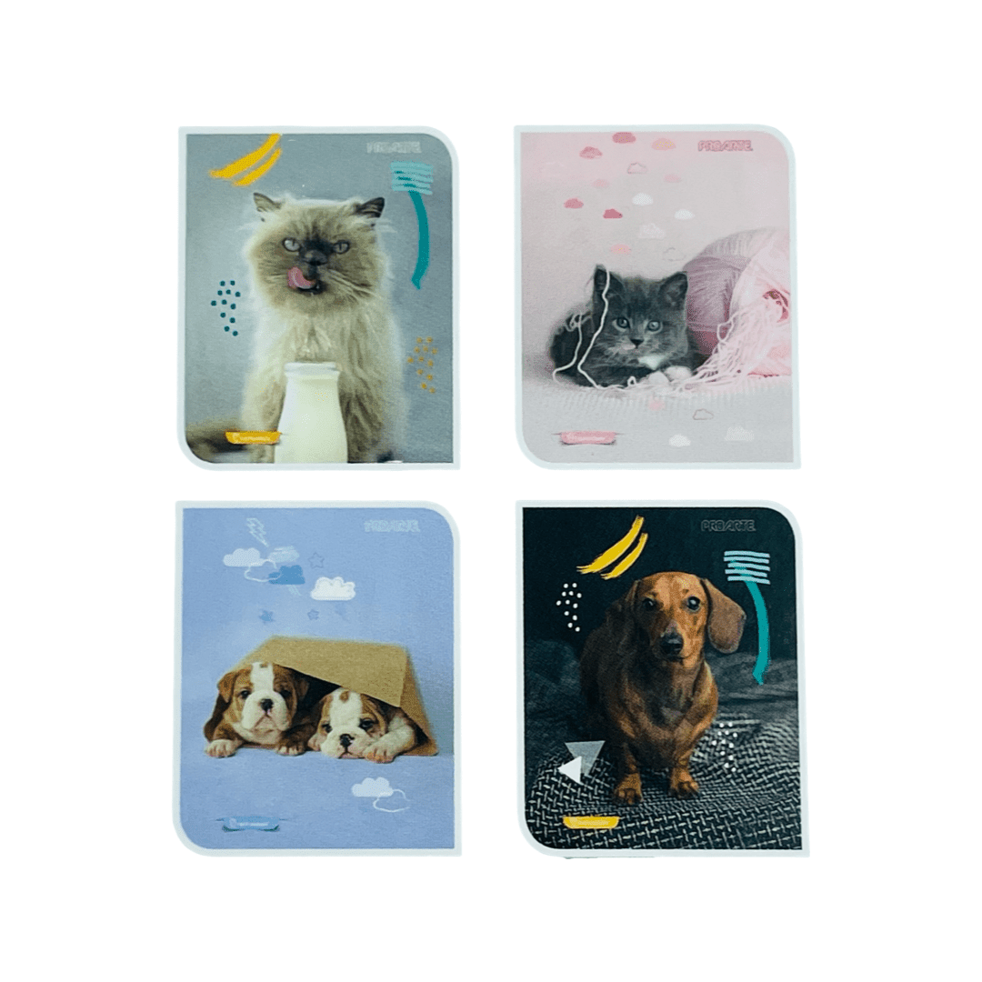 Mini cuaderno Proarte octava9