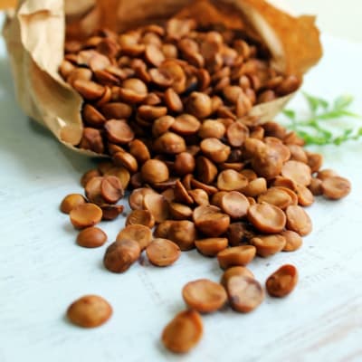 AVELLANA CHILENA TOSTADA