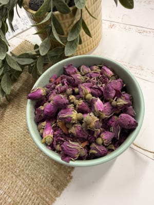 ROSA RUGOSA