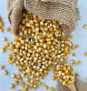 MAIZ POP CORN1