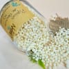 QUINOA POP XL SIN AZÚCAR1