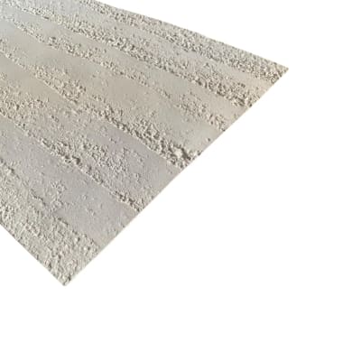 HORMIPANEL BRUT GRIS CLARO